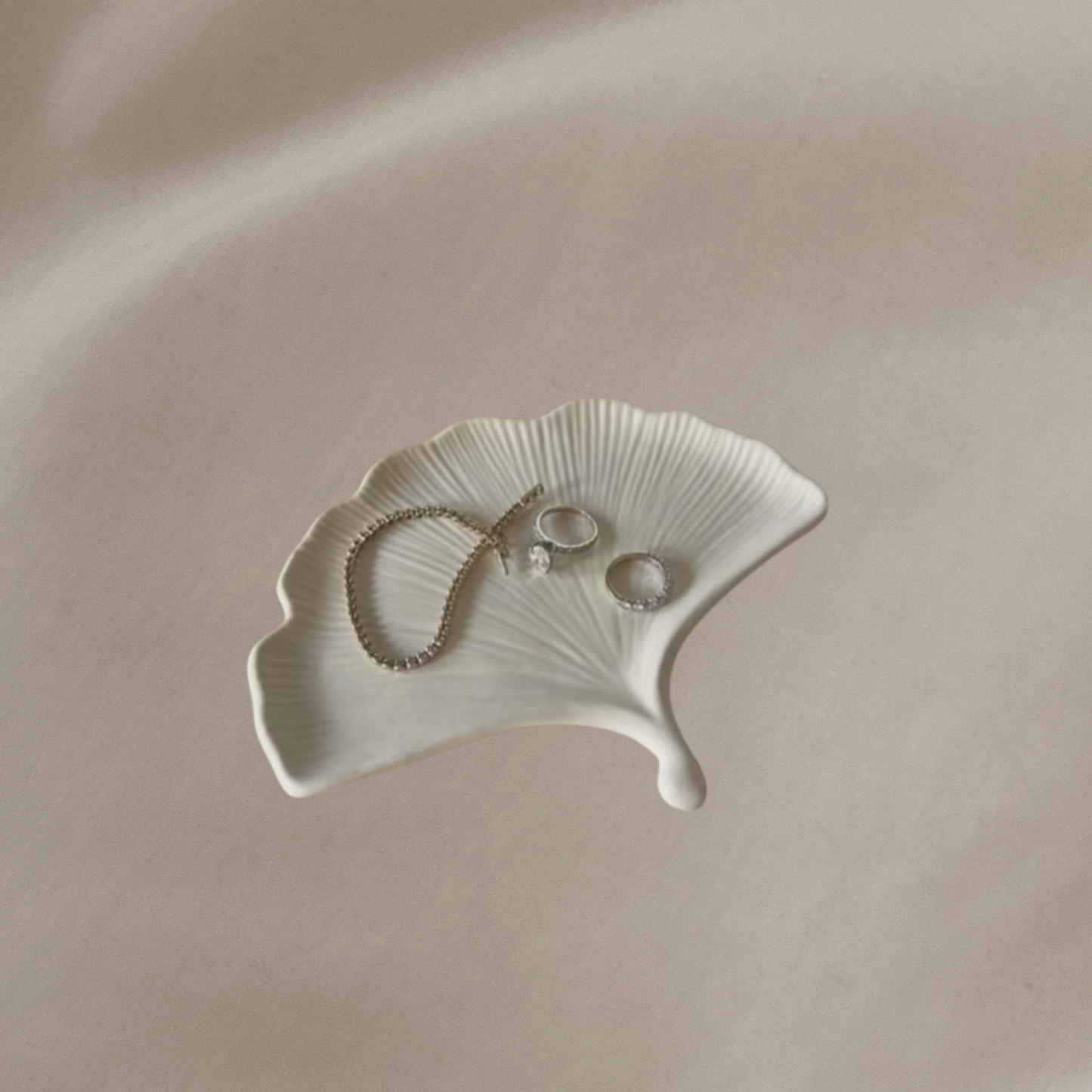 DIY Starterkit Jesmonite (Shell Tray)